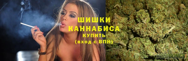 PSILOCYBIN Алексин