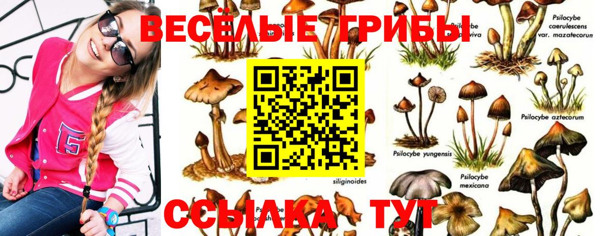 Галлюциногенные грибы ЛСД  Вход с VPN  продажа наркотиков  Тверь  Галлюциногенные грибы мицелий 